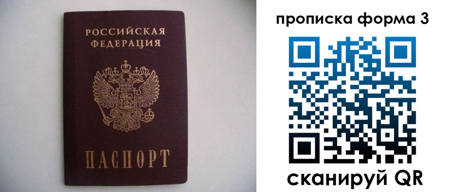прописка в Сураже